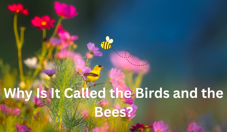 Why Is It Called the Birds and the Bees?  [Learn More]