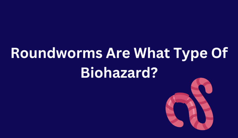 Roundworms Are What Type Of Biohazard? [All You Need To Know]